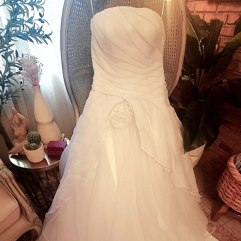 DaVinci Bridal Gown